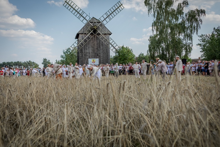 VI Łowickie Żniwa