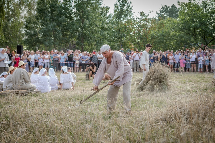 VI Łowickie Żniwa