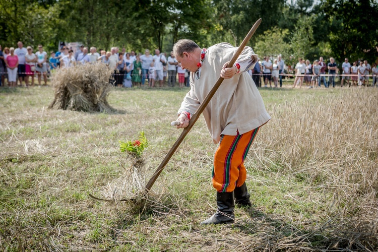 VI Łowickie Żniwa