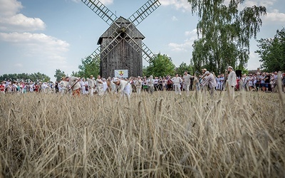 ▲	Łanów nie kosiły kombajny.