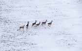 Podniebne zdjęcia Waldemara Janiszewskiego