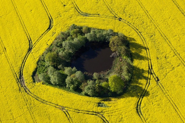 Podniebne zdjęcia Waldemara Janiszewskiego