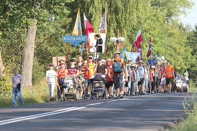 ▲	Grupy nr 3 i 5 idące z Bolesławca do Warty Bolesławieckiej.