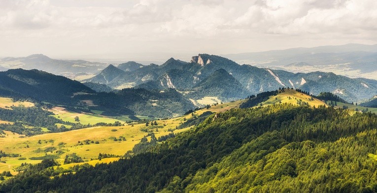 Muzyka organowa rozbrzmiewa nad Pieninami od 22 lipca