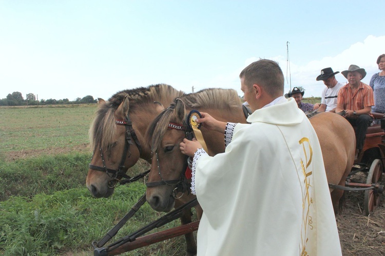 IX Konna Pielgrzymka do Goja