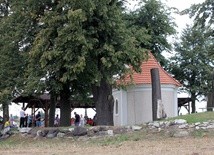 IX Konna Pielgrzymka do Goja