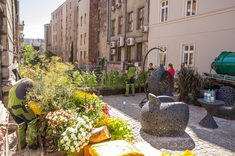 Ogród kieszonkowy w centrum Katowic