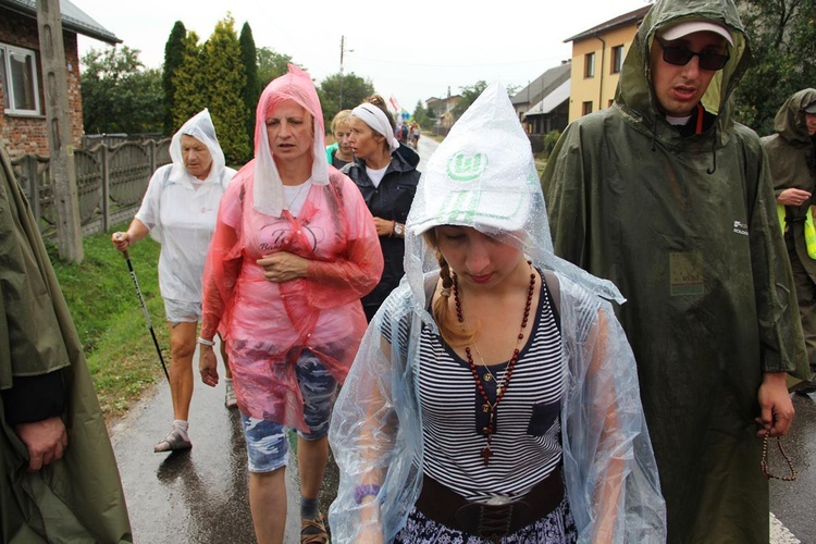 PPW 2018 - 7 dzień (las za Dąbrową - Bór Zapilski / Czarna Wieś)