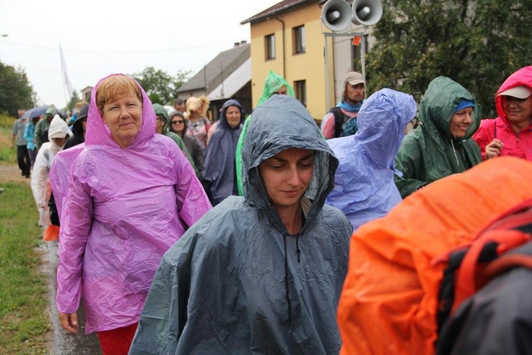 PPW 2018 - 7 dzień (las za Dąbrową - Bór Zapilski / Czarna Wieś)