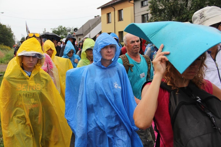 PPW 2018 - 7 dzień (las za Dąbrową - Bór Zapilski / Czarna Wieś)