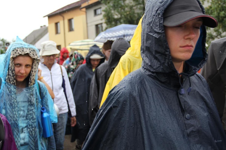 PPW 2018 - 7 dzień (las za Dąbrową - Bór Zapilski / Czarna Wieś)