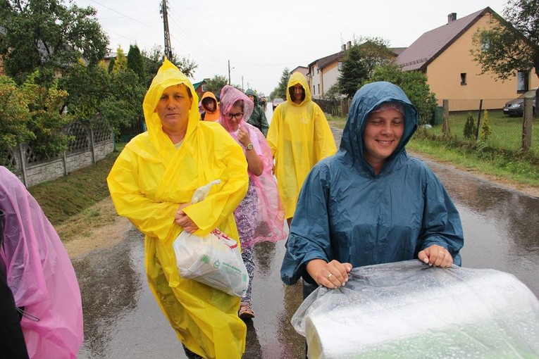 PPW 2018 - 7 dzień (las za Dąbrową - Bór Zapilski / Czarna Wieś)