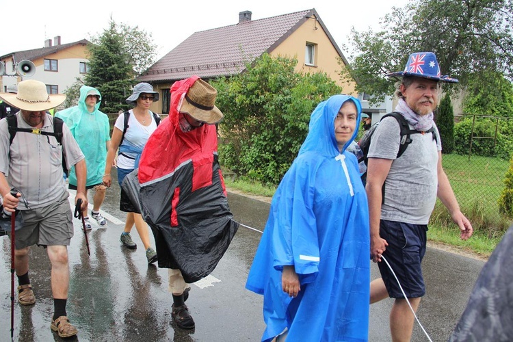 PPW 2018 - 7 dzień (las za Dąbrową - Bór Zapilski / Czarna Wieś)
