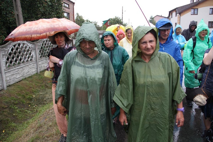 PPW 2018 - 7 dzień (las za Dąbrową - Bór Zapilski / Czarna Wieś)