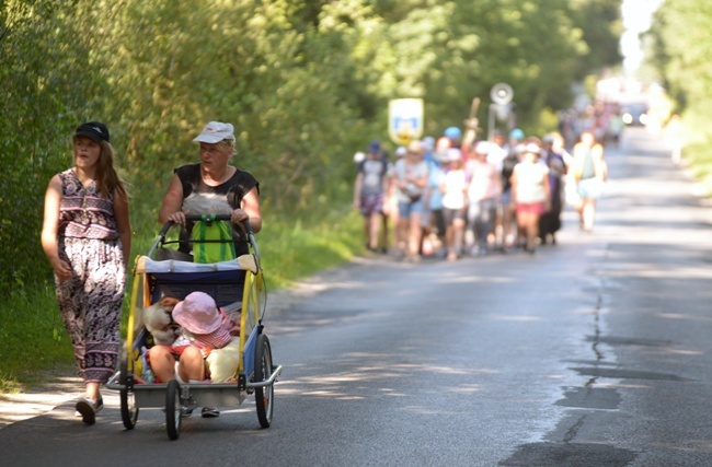 Pielgrzymują na Jasną Górę