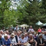 Uroczystości patriotyczne w Borowinie