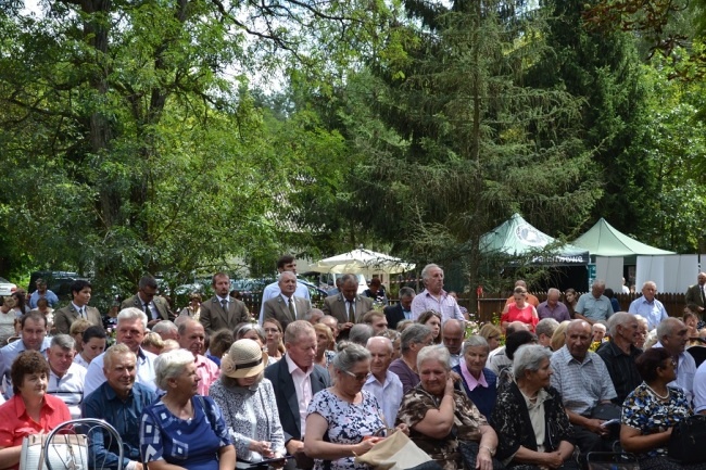 Uroczystości patriotyczne w Borowinie