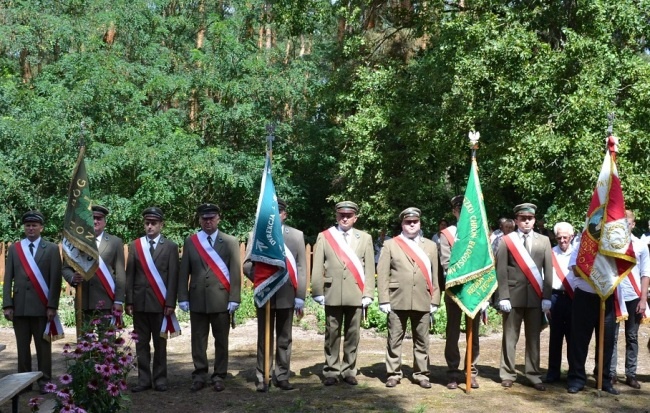 Uroczystości patriotyczne w Borowinie