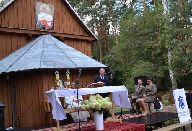 Uroczystości patriotyczne w Borowinie