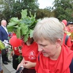 Powitanie 35. Pielgrzymki Oświęcimskiej na Jasnej Górze - 2018