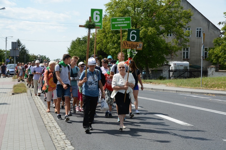 "Szóstka" zielona już w drodze