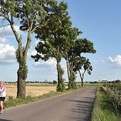 	Droga do rodzinnych stron świętego.