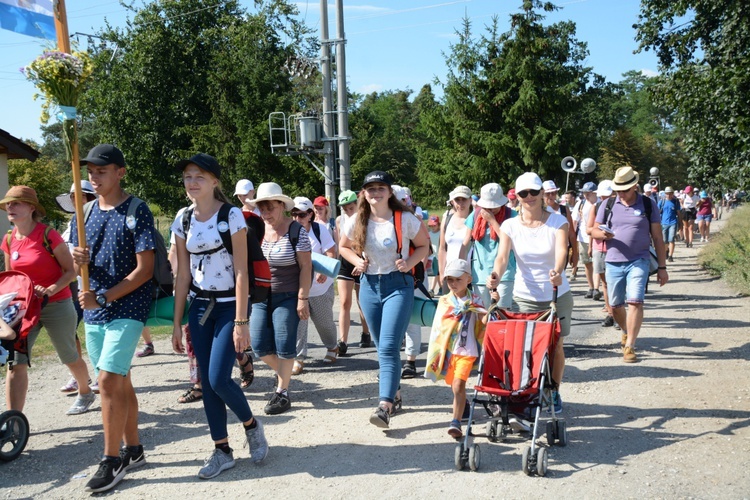 Strumień opolski w Kosorowicach