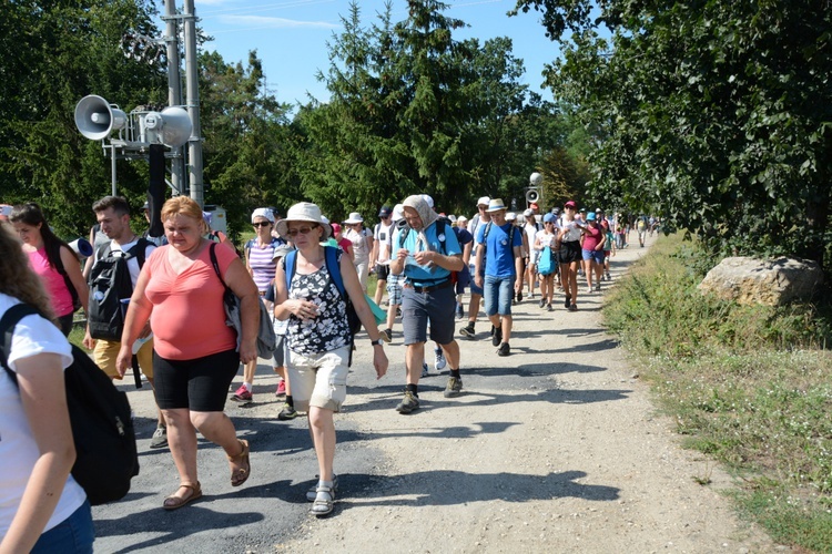 Strumień opolski w Kosorowicach