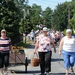 Strumień opolski w Kosorowicach