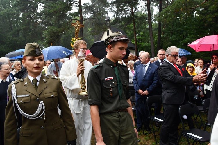 Diecezjalna Pielgrzymka Rodzin