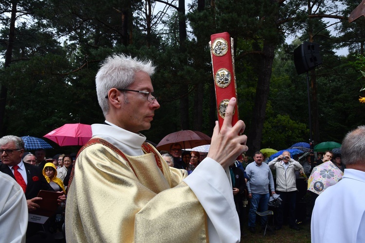 Diecezjalna Pielgrzymka Rodzin