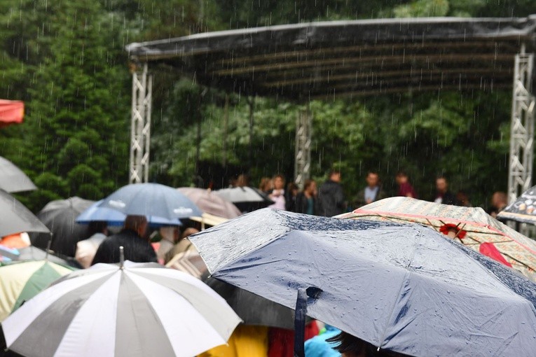 Diecezjalna Pielgrzymka Rodzin