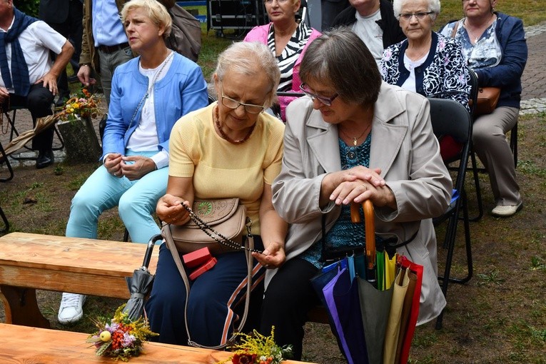 Diecezjalna Pielgrzymka Rodzin