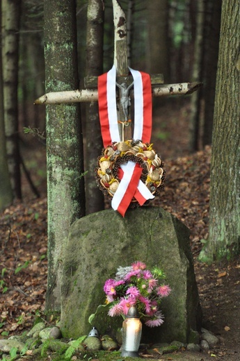 Pamiętają o Liberatorze