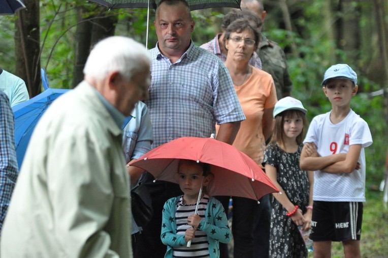 Pamiętają o Liberatorze