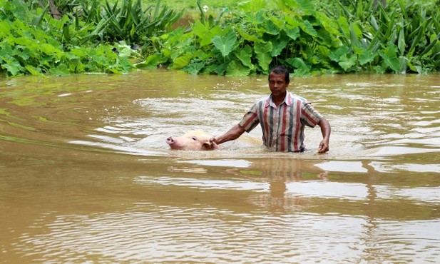 Indie: Caritas na pierwszej linii pomocy powodzianom