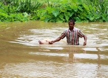 Indie: Caritas na pierwszej linii pomocy powodzianom