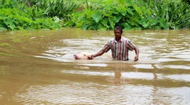 Indie: Caritas na pierwszej linii pomocy powodzianom