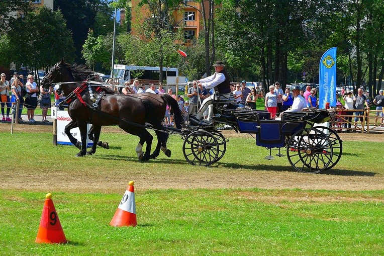 Mistrzostwa Podhala w Powożeniu