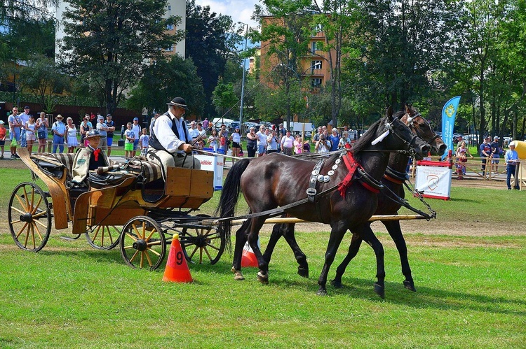 Mistrzostwa Podhala w Powożeniu