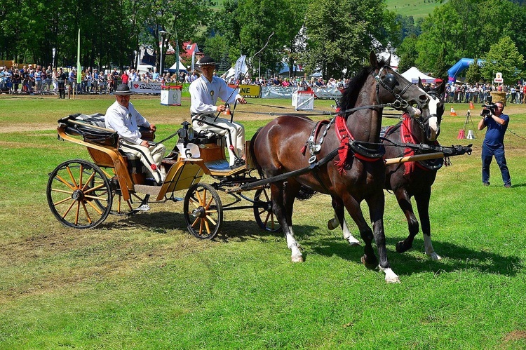 Mistrzostwa Podhala w Powożeniu