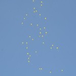 "Dwójki", "trójka" i "trzynastka"