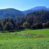 Taniec z widokiem na Tatry 