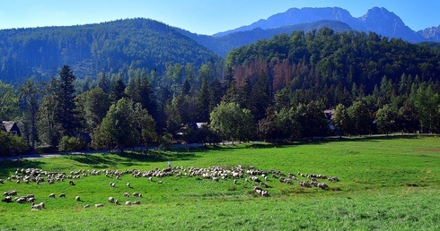 Taniec z widokiem na Tatry 