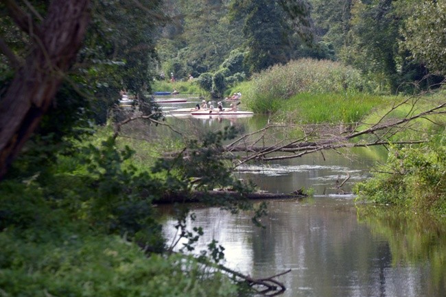 Tysięczny klaps na planie filmu "Klecha"