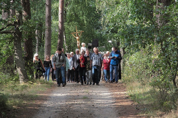 17. Regionalna Pielgrzymka Trzeźwości cz.2