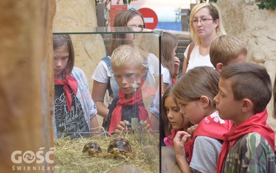 W czasie jednej z wycieczek dzieci odwiedziły zoo.
