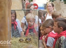 W czasie jednej z wycieczek dzieci odwiedziły zoo.