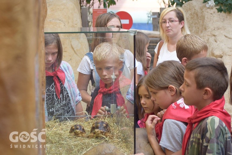 W czasie jednej z wycieczek dzieci odwiedziły zoo.