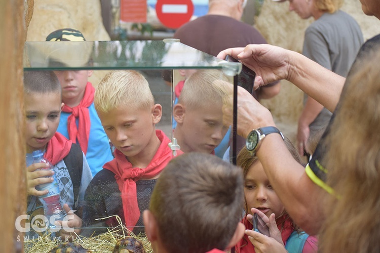 II turnus "Wakacji z Bogiem" w Zagórzu Śląskim